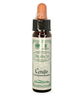 Ainsworths Bach Flower Essence - Cerato 10ml