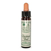 Ainsworths Bach Flower Essence - Chestnut Bud 10ml