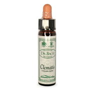 Ainsworths Bach Flower Essence - Clematis 10ml