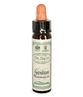 Ainsworths Bach Flower Essence - Gentian 10ml