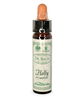 Ainsworths Bach Flower Essence - Holly 10ml