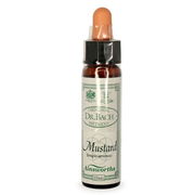 Ainsworths Bach Flower Essence - Mustard 10ml