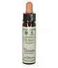 Ainsworths Bach Flower Essence - Vervain 10ml