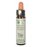 Ainsworths Bach Flower Essence - Vine 10ml