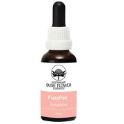 Australian Bush Flower Essences FussPot Essence 30ml Aged Smart