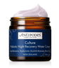 Antipodes Culture Probiotic Night Recovery Water Cream 60ml