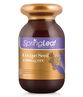 Spring Leaf Grape Seed 12000mg OPC Cap X 180