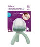 B.Box Fresh Food Feeder - Sage