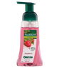 Palmolive Foaming Hand Wash (Raspberry) 250ml