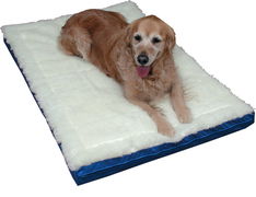 Dick Wicks Therapeutic Magnetic Pet Bed Small - Medium 66 X 88cm