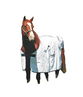 Dick Wicks Therapeutic Magnetic Horse Rug 6'
