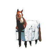 Dick Wicks Therapeutic Magnetic Horse Rug 6'