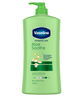 Vaseline Intensive Care Body Lotion Aloe Soothe 750ml