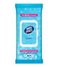 Wet Ones Hands & Body Wipes Be Fresh Wipes X 40