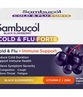 Sambucol Cold & Flu Forte Cap X 24